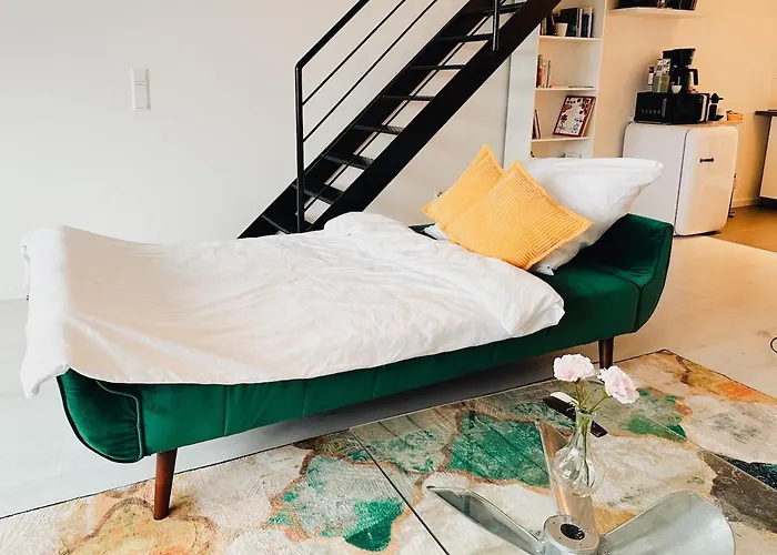 公寓 Art Loft In Old Factory *